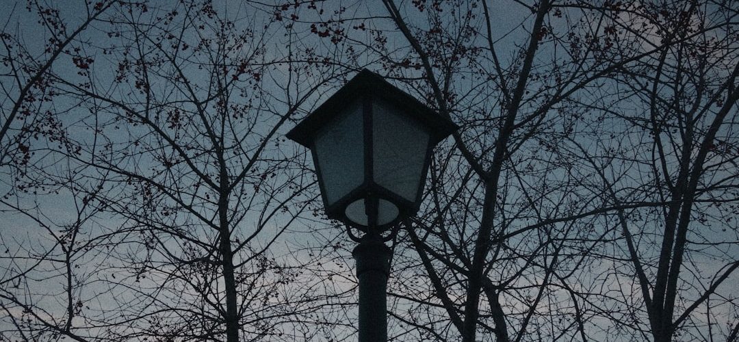 Photo outdoor lights